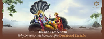 Tulsi and Lord Vishnu: Why Devotees Avoid Marriages After Devshayani Ekadashi