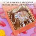 Silver plated Elephant Vastu in box