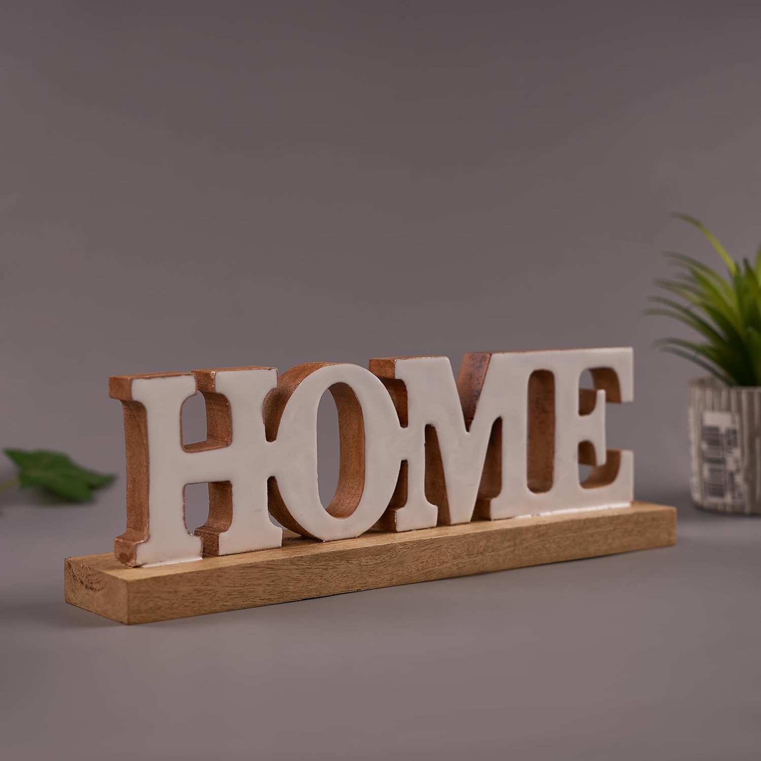 Wooden "Home" Word home decor plant in the background