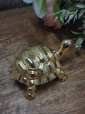 gold-plated turtle figurine, a Feng Shui decorative item, is shown on a rustic wooden surface. The turtle has a ribbed shell and is positioned in front of a soft-focus background of white and pink flowers.