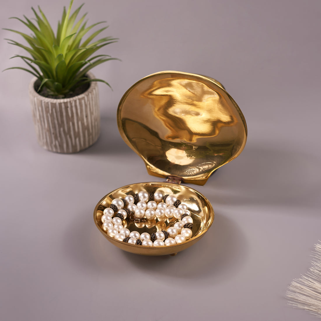 seashell shaped jewelry box