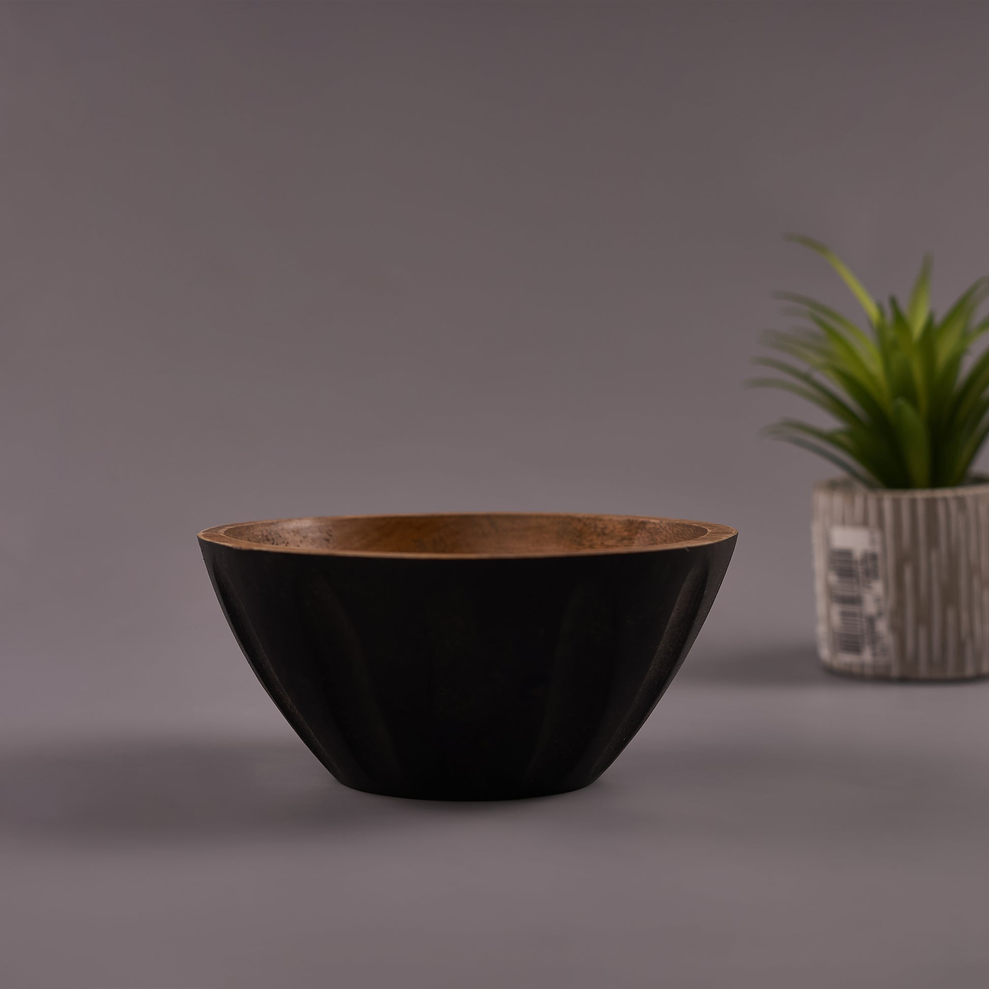 A black Mango Wood bowl with small plant behind it