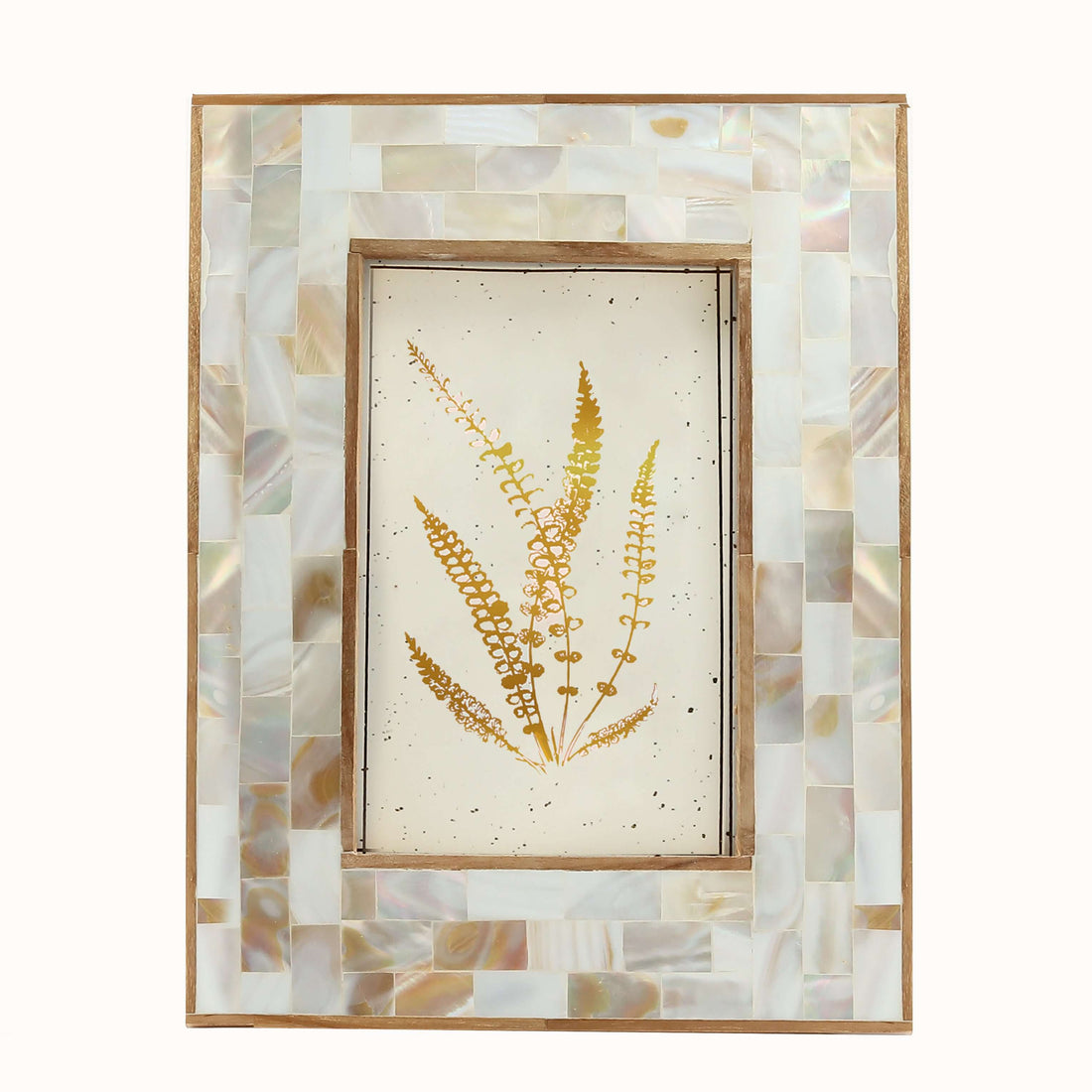 Bone and Brass frame for Home Decor