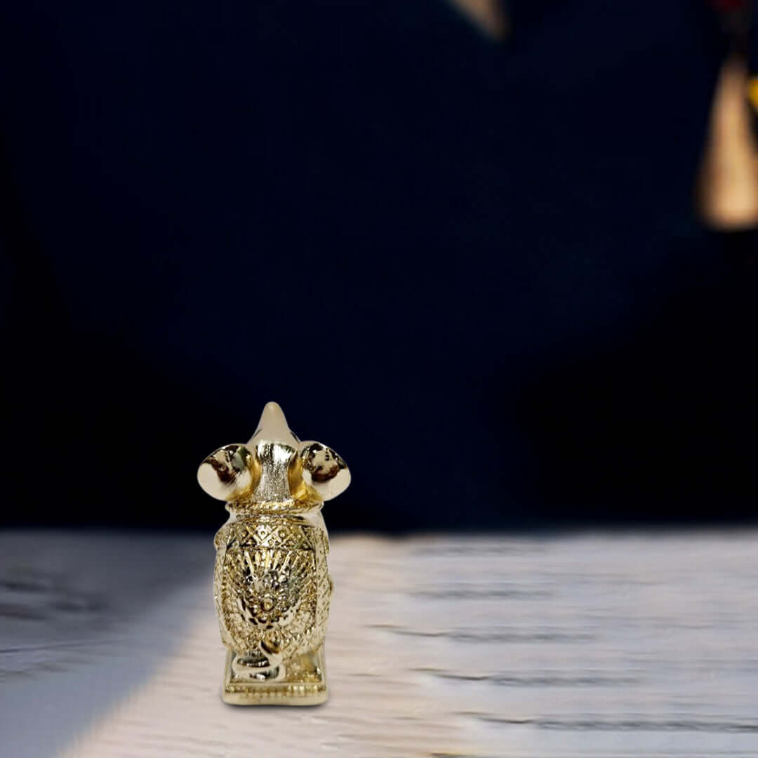Gold Mushak Idol back side photo