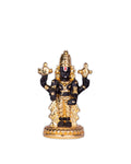A black and gold idol of Lord Venkateswara, also known as Balaji, standing on a golden base.