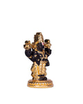 A black and gold statue of Lord Tirupati Balaji (Venkateswara Swamy), depicted with four arms holding traditional attributes, adorned with golden ornaments and standing on a golden base.