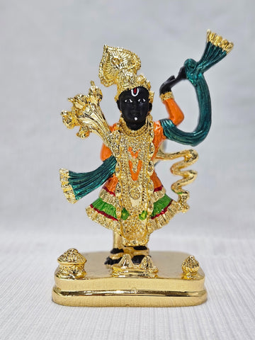 Lord Shreenath Ji Idol (5 inches)