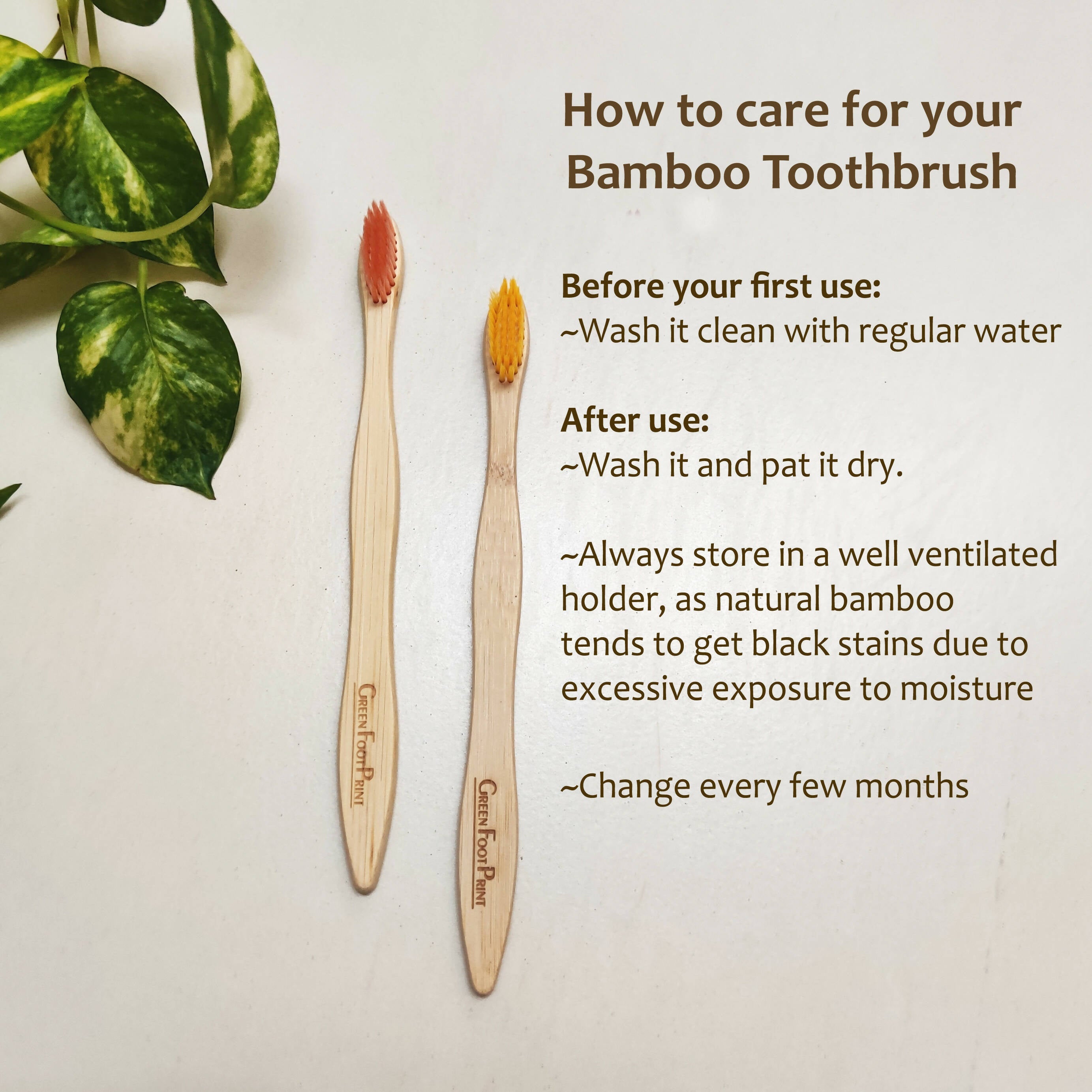 Combo-Bamboo Toothbrush & Bamboo Tongue Cleaner(2BamTB+2BamTC) Wemy Store