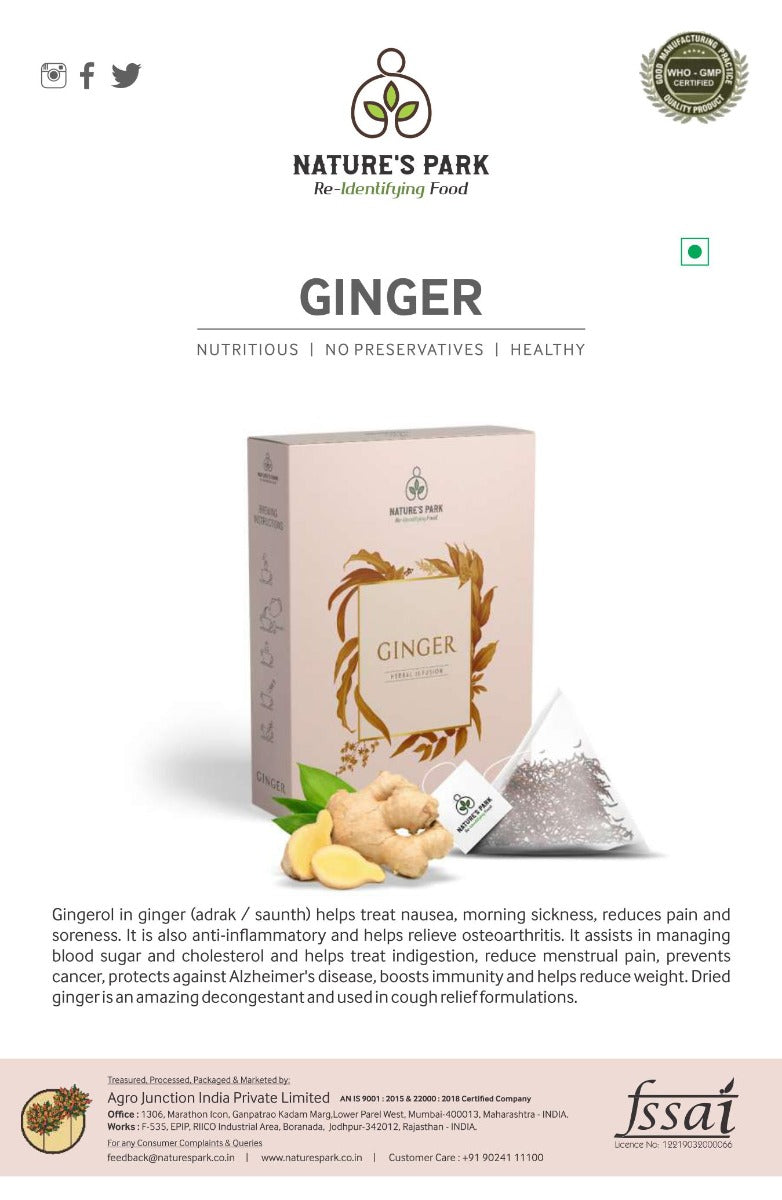 Ginger Herbal Infusion (Pyramid Infusion Bags-5) Wemy Store