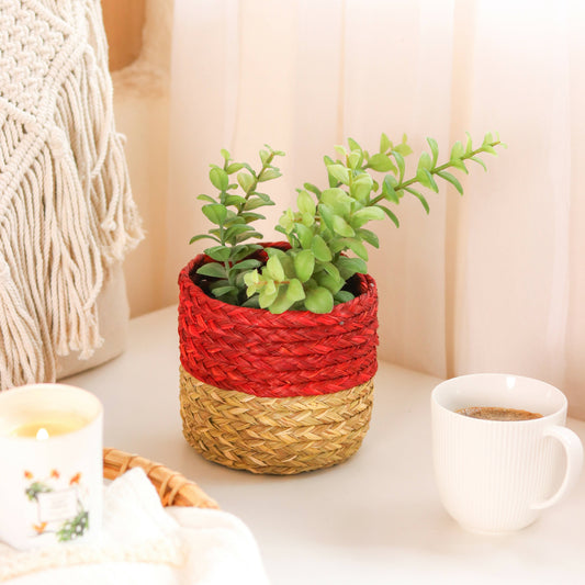 Handwoven Red Planter Wemy Store