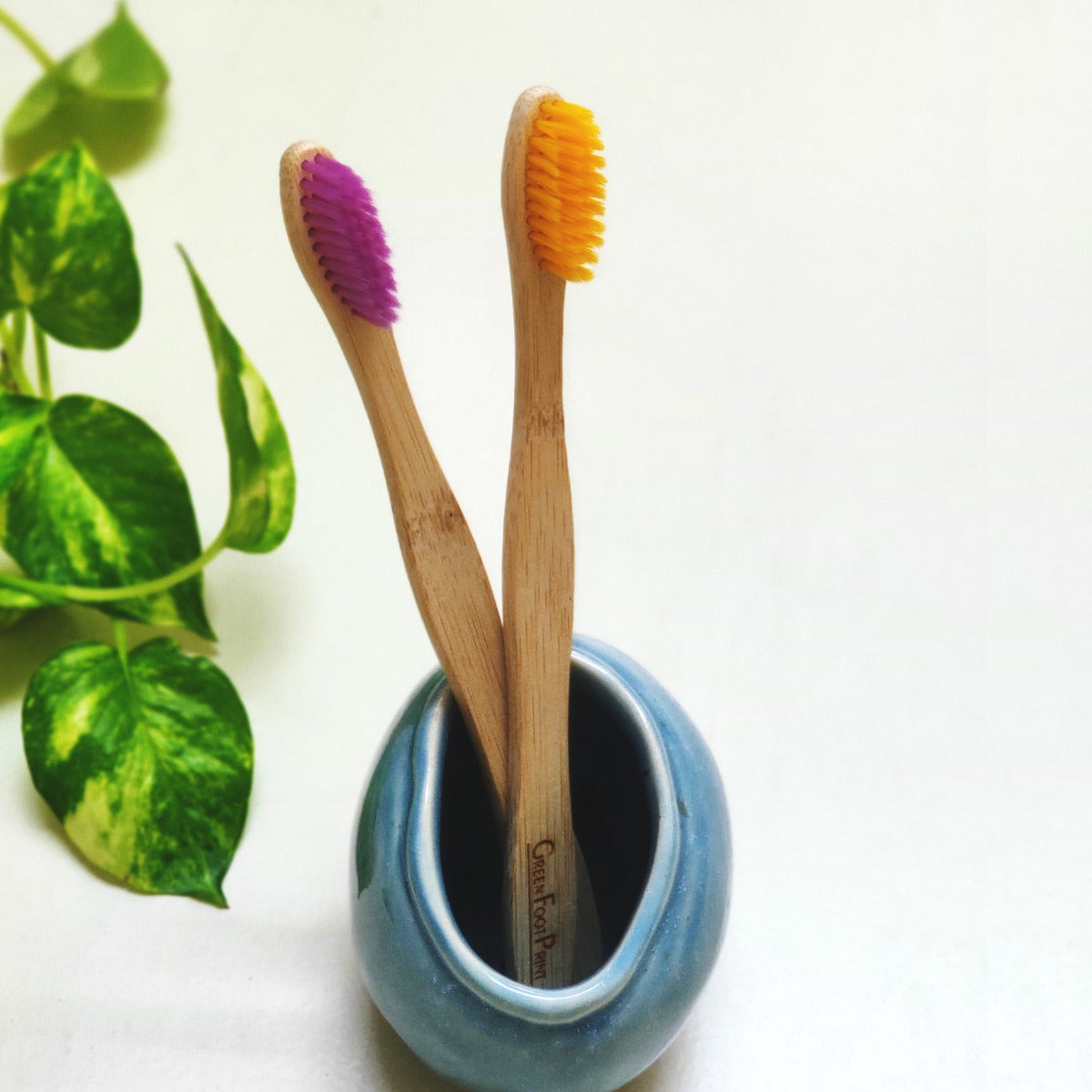 Natural Bamboo Toothbrush | Assorted colours(BT-coloured bristles-Packof2) Wemy Store
