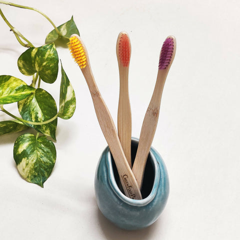 Natural Bamboo Toothbrush | Assorted colours(BT-coloured bristles-Packof2) Wemy Store