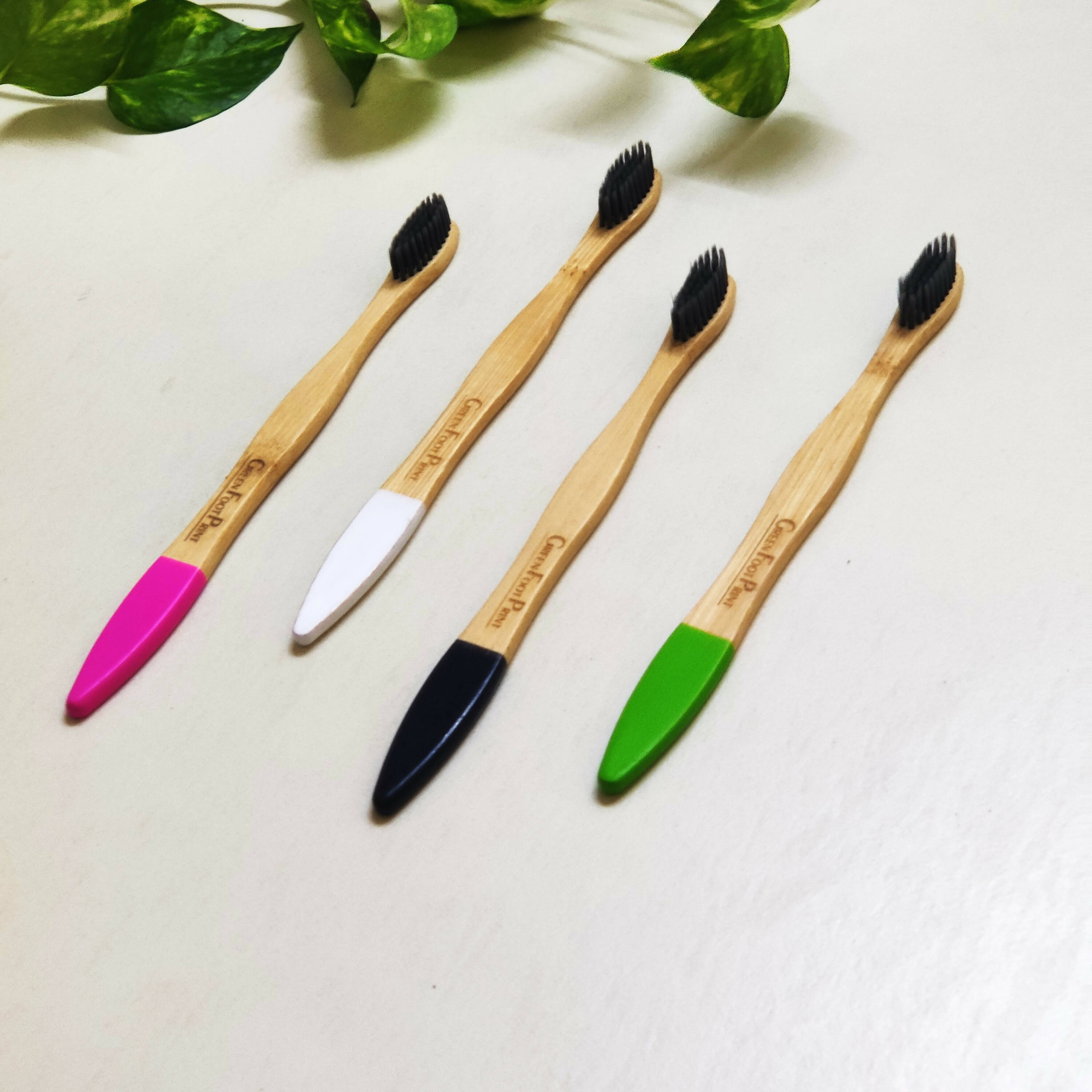 Natural Bamboo Toothbrush |Charcoal infused bristles(BT-colouredbottom-Packof2) Wemy Store