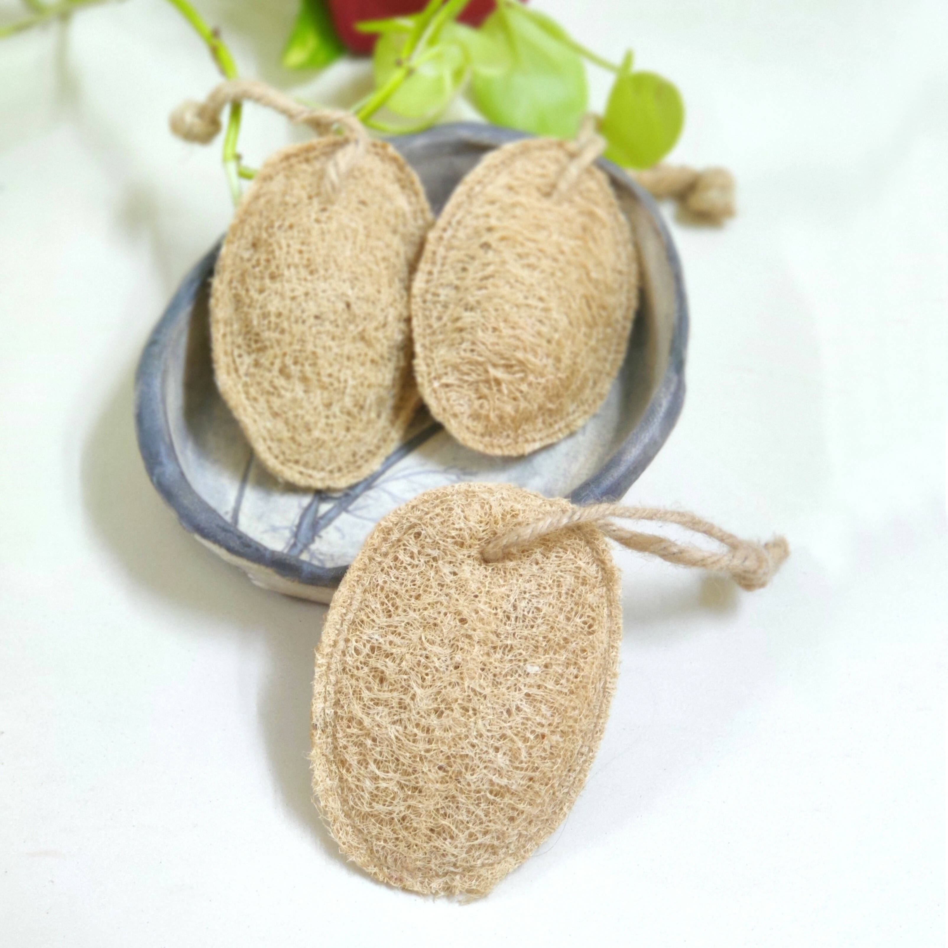 Natural Plant based loofah/ Bathing sponge -set of 3(LS-PackOf3) Wemy Store