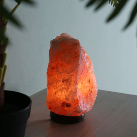 Natural Rock Shape Himalayan Salt Lamp Wemy Store