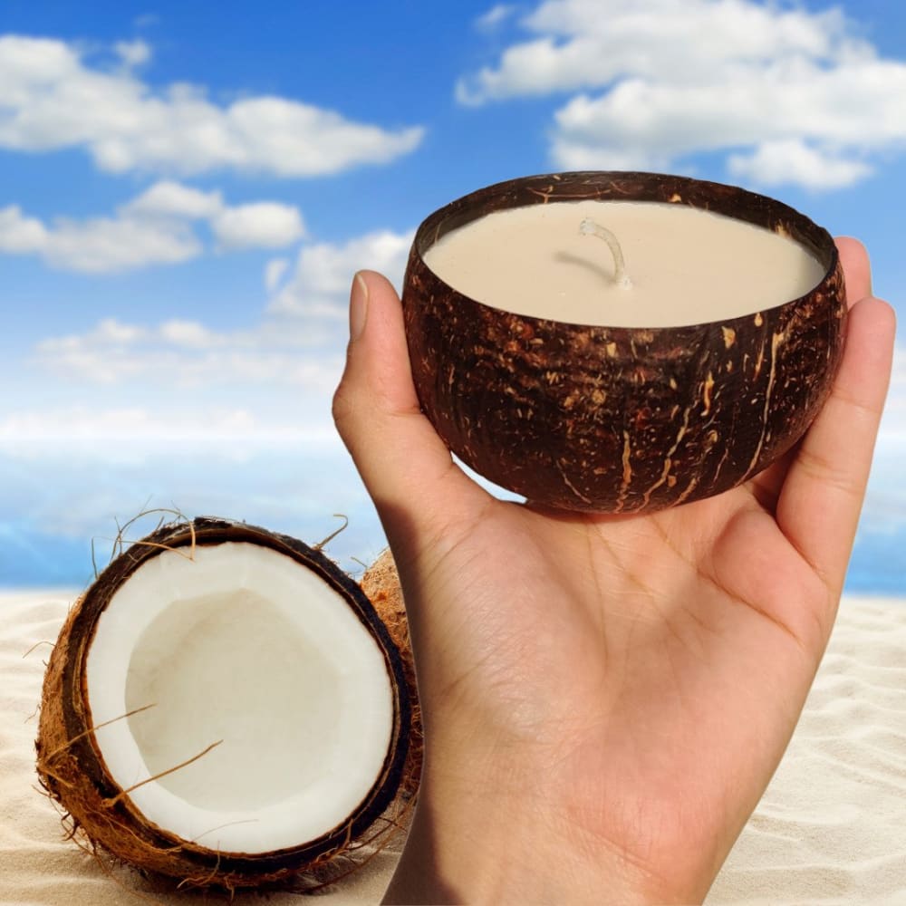 Soy Wax Candle - Coconut Shell (100gms only) Wemy Store
