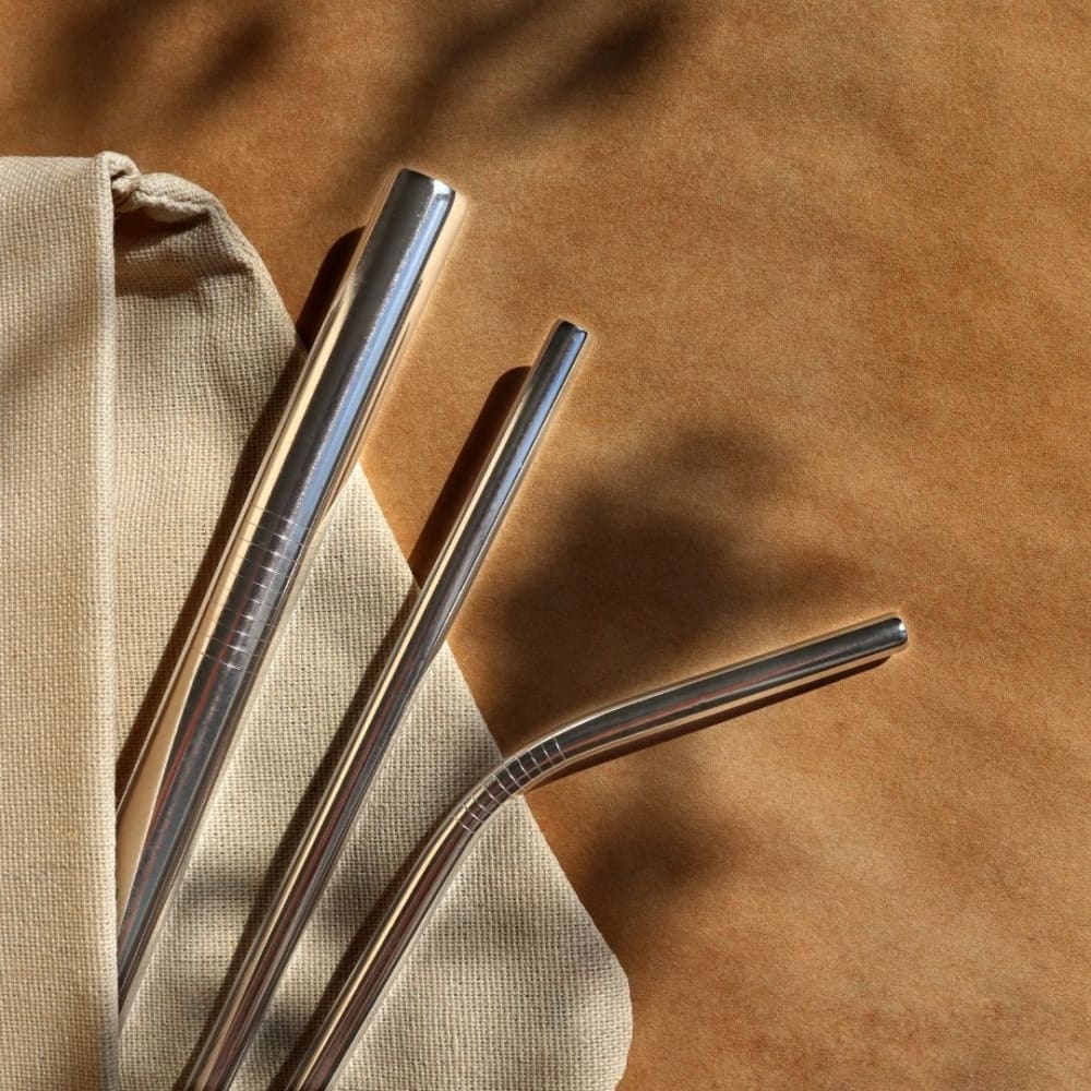 Stainless Steel Straws With Cleaner - Pack of 2 Wemy Store