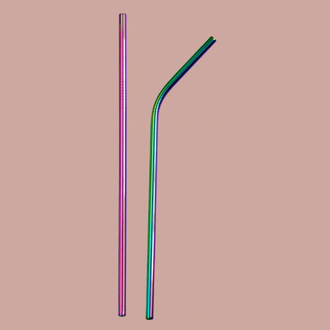 Stainless Steel Straws With Cleaner - Pack of 2 Wemy Store