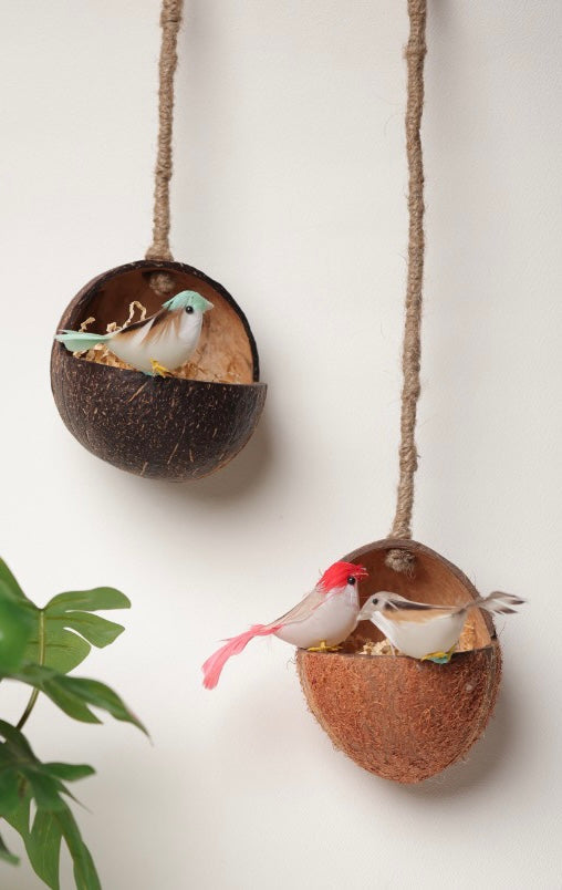 Upcycled discarded coconut shell bird feeder- Gudiya bird feeder Wemy Store