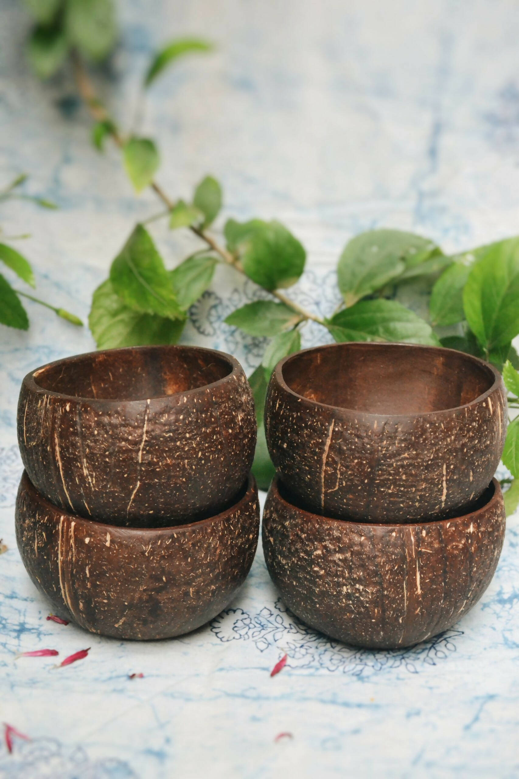 Coconut Bowl (Pack of 4)