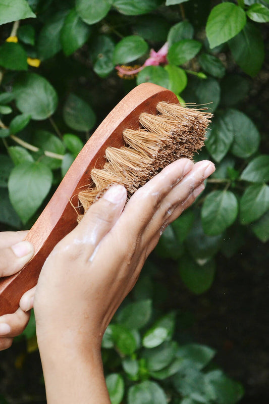 Coconut Fiber - Dry Body Brush